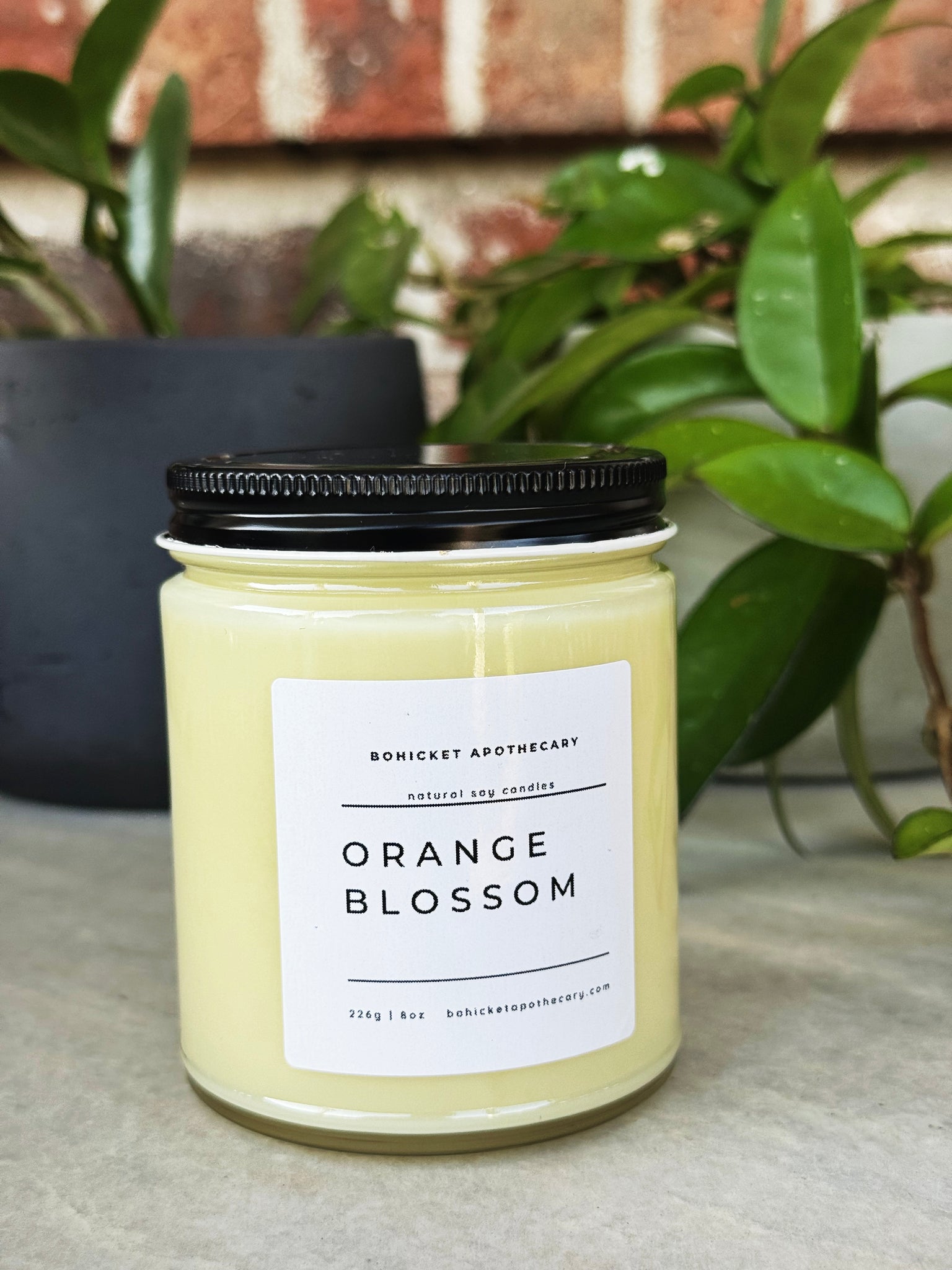 Orange Blossom