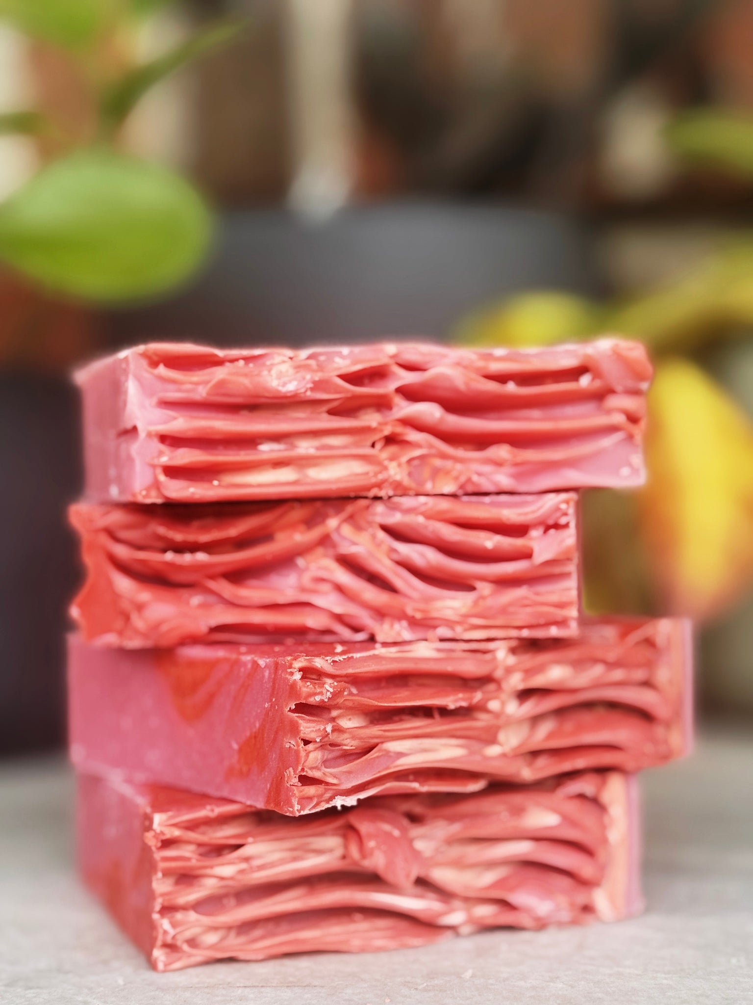 Red Berries and Rhubarb